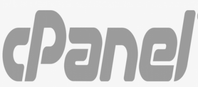 cpanel server support