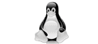 linux server management